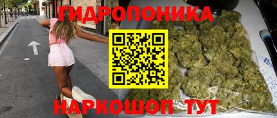 гашик Лесосибирск