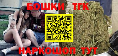 гашик Лесосибирск