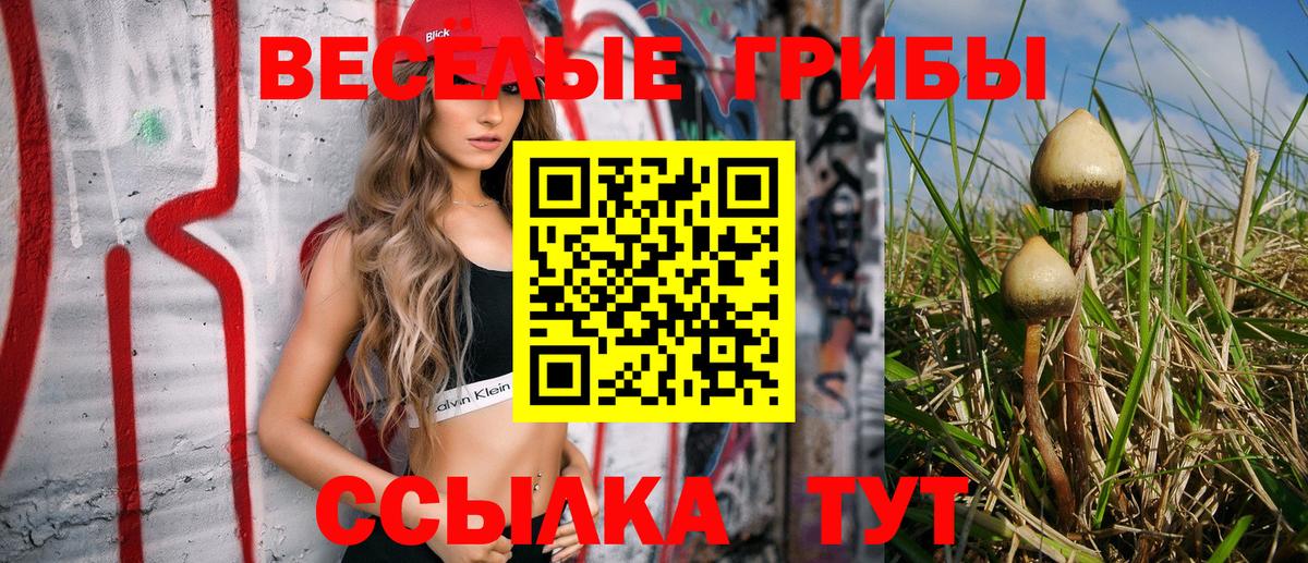 Галлюциногенные грибы Psilocybine cubensis Егорьевск