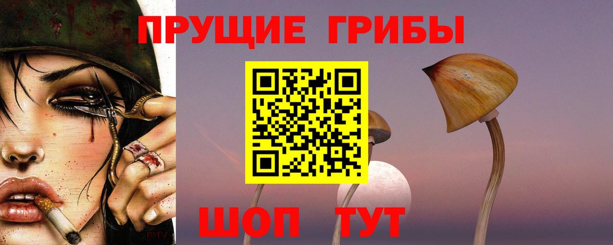 Егорьевск  Псилоцибиновые грибы Cubensis  Псилоцибиновые грибы прущие грибы  Вход с VPN 